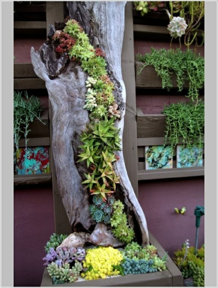 las mejores ideas sobre como hacer un jardin vertical en tu patio, tronco de árbol con cactus, plantas suculentas y trepadoras 