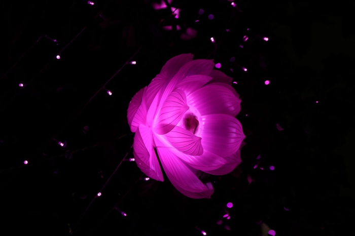 fondos de pantalla chulos para el movil, flor de loto en color rosado con lámparas led pequeñas, bonitas imagines con efectos originales, flor en colores fluorescentes 