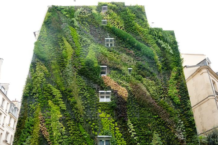 los mejores ejemplos de muros verticales con plantas verdes, jardines bonitos verdes, como hacer jardines verticales origiales 