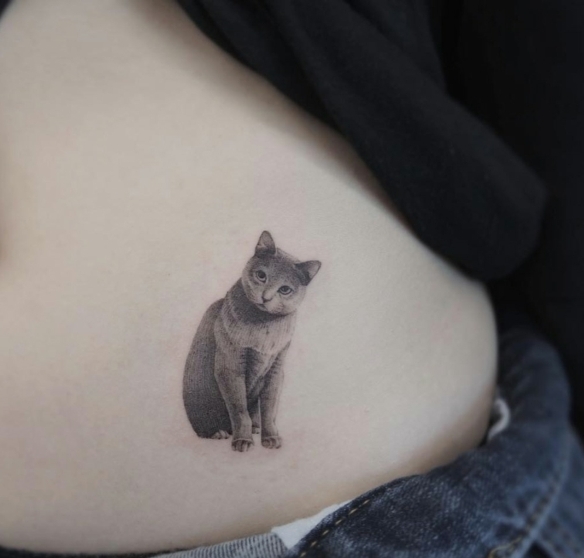 tatuaje gato en estilo realista en la bariga, tatuajes pequeños mujer, diseños de tatuaje gato originales, detalles tatuados en el cuerpo 