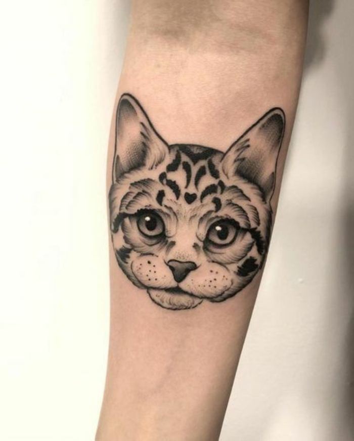 preciosos diseños de tatuaje gato en el brazo y el antebrazo, motivos para tatuajes originales, tatuajes gato que inspiran 