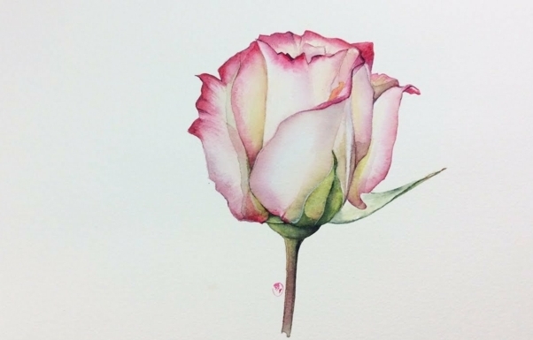 preciosos dibujos de flores con pinturas acuarela, flores acuarela bonitas, dibujos fáciles de hacer, como dibujar una rosa con acuarelas 