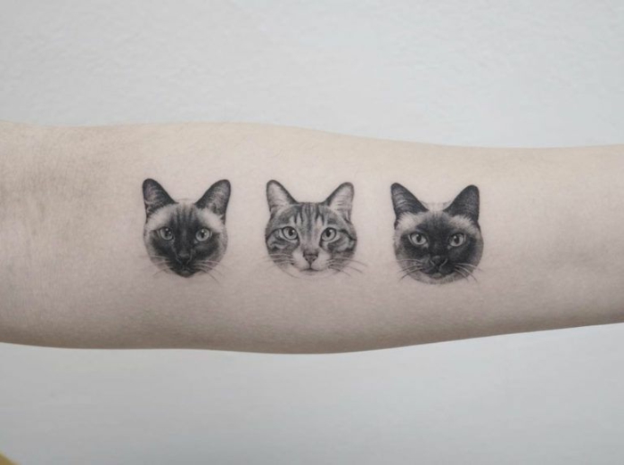 originales diseños de tatuajes de gatos en el antebrazo, tatuajes realistas con animales, más de 100 modelos de tatuajes 