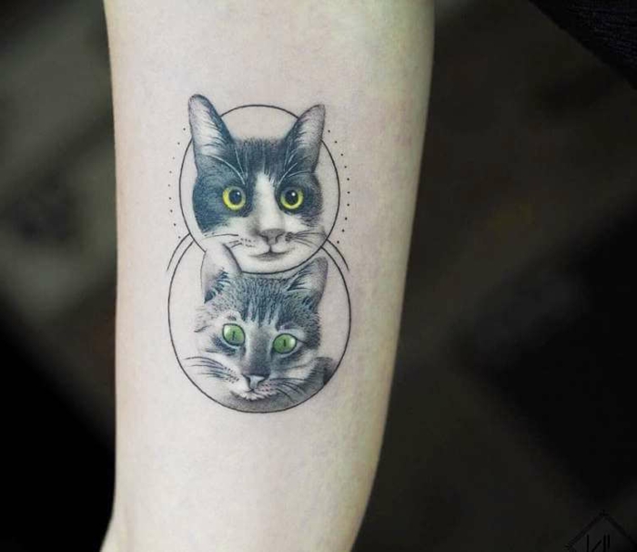 tatuajes geométricos con gatos, originales propuestas de tatuajes antebrazo, fotos de bonitos tatuajes para descargar 
