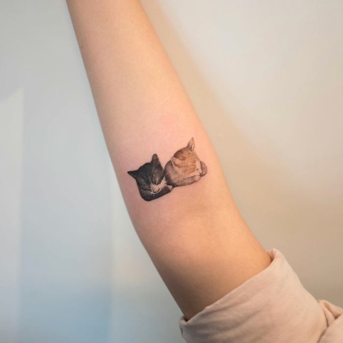 tatuajes realistas de gatos, las mejores ideas de tatuaje gato, diseños bonitos y sis significados en imágenes coloridas