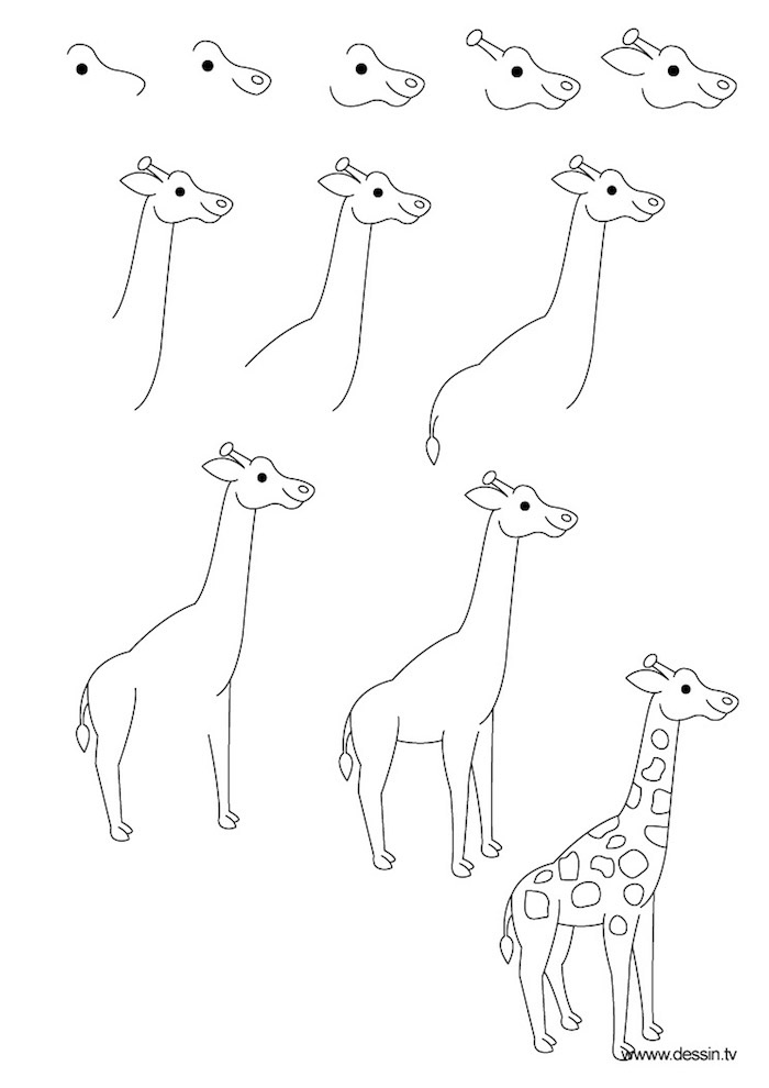 simpáticas ideas sobre como dibujar animales con unos pasos básicos, ideas para adultos y pequeños, dibujos bonitos de animales 
