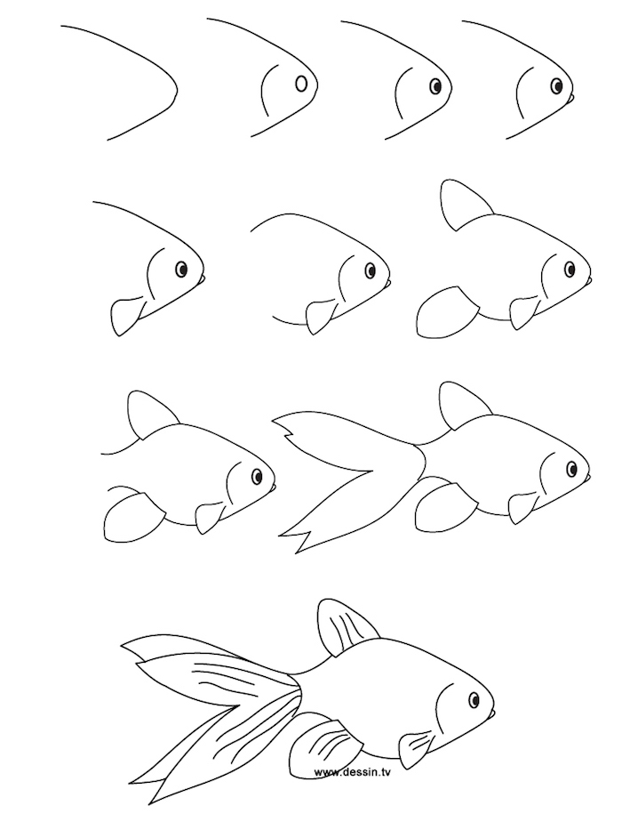 dibujos de animales super simpáticos en unos pasos sencillos, como dibujar una pez, ideas de dibujos originales 