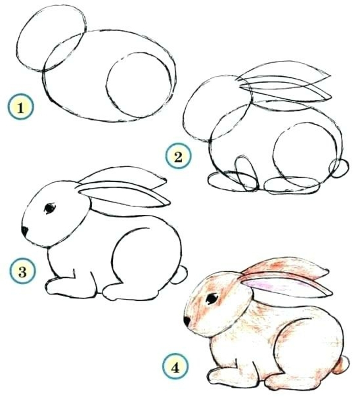 las mejores ideas de dibujos de animales paso a paso, dibujos simpáticos para redibujar, dibujos faciles de hacer en fotos 