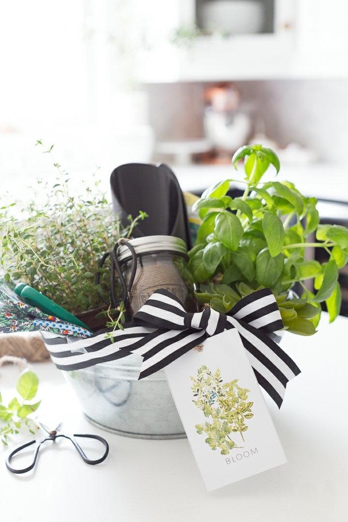 kit de regalos pequeños, hierbas frescas, utensilios para la cocina, regalos para jardineras, que regalar a tu suegra 