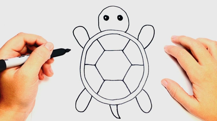 pequeña tortuga super fácil de dibujar, imagenes de dibujos faciles para niños, como dibujar animales pequeños 