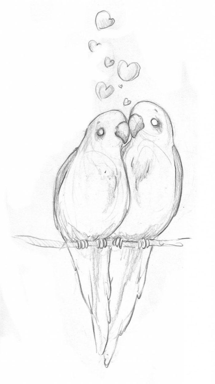 una pareja de loros, ideas de bonitos dibujos para dibujar a lapiz, fotos de dibujos bonitos para redibujar 