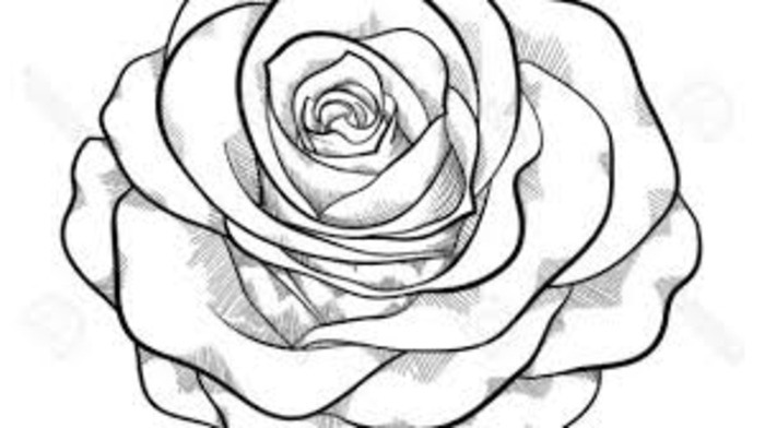 dibujo de rosa super fácil de hacer, ideas de dibujos de rosas, originales ideas de dibujos para niños sencillos para calcar