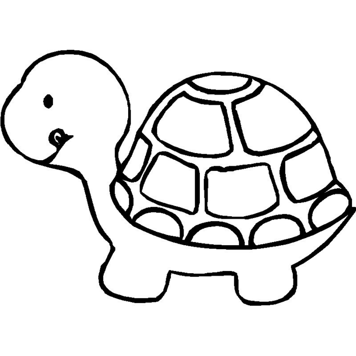 ideas sobre como dibujar animales, dibujar una tortuga paso a paso, dibujos para calcar originales y fáciles de hacer 