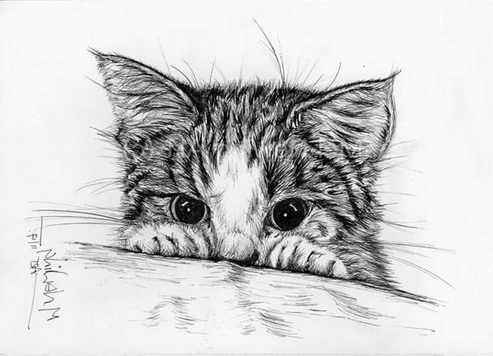 precioso gato dibujado en estilo realista, adorable gato dibujado a lápiz, dibujos de animales en estilo realista, ideas de dibujos 
