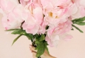 Decoración para San Valentín para un ambiente romántico y especial
