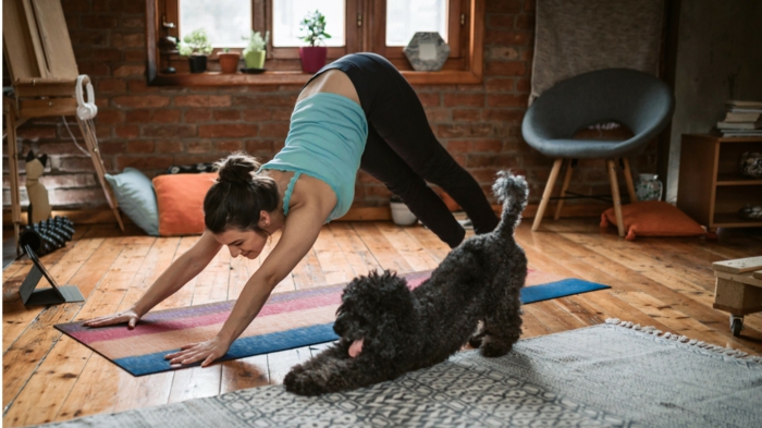 ideas para hacer ejercicios de yoga con tu cachorro, ideas de ejercicios para entrenar, fotos divertidas de personas entrenando