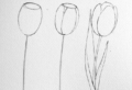 Aprende a dibujar: 80 ideas de dibujos de flores fáciles