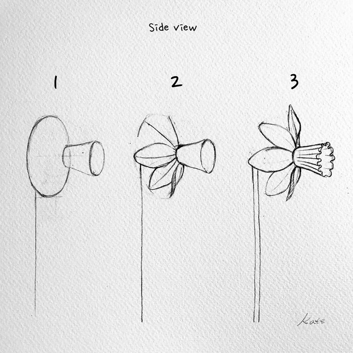 Aprende a dibujar: 80 ideas de dibujos de flores fáciles