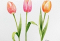 Aprende a dibujar: 80 ideas de dibujos de flores fáciles
