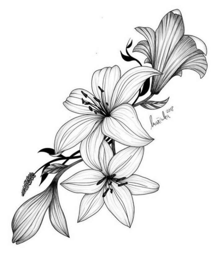 ramo de flores dibujo en blanco y negro que enamoran, ideas para pasar tu tiempo en casa, ejemplos de actividades pequeocio