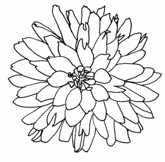 dibujos faciles para dibujar, simpaticas ideas de dibujos faciles para dibujar en casa, bonita flor dibujada a lapiz para calcar 