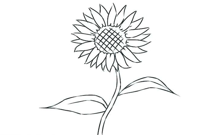 Aprende a dibujar: 80 ideas de dibujos de flores fáciles