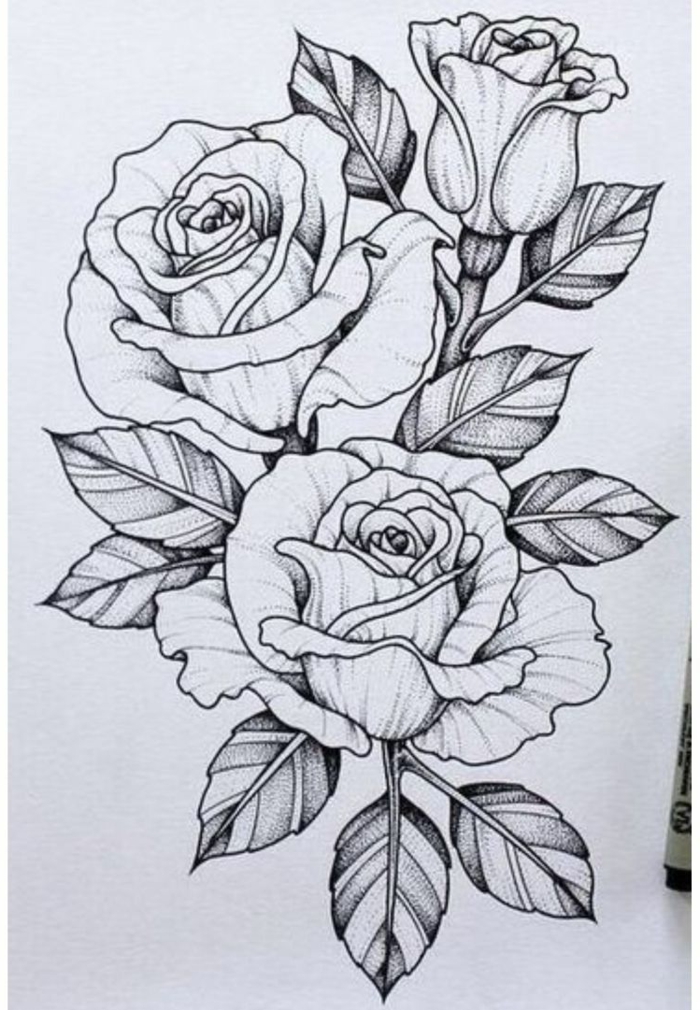 Featured image of post Imagenes De Rosas Para Dibujar A Lapiz Ver m s ideas sobre dibujos dibujar arte dibujos animados a lapiz