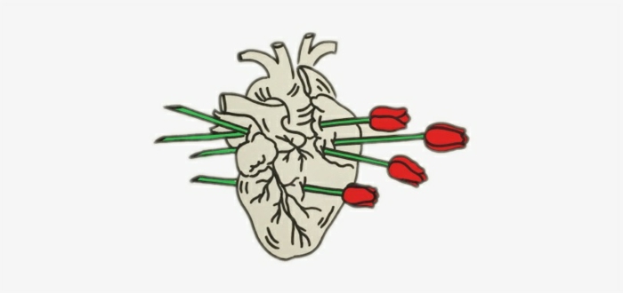 corazón anatómico con ramos de rosas rojas, dibujos tumblr blanco y negro y dibujos en colores, descargar dibujos originales 