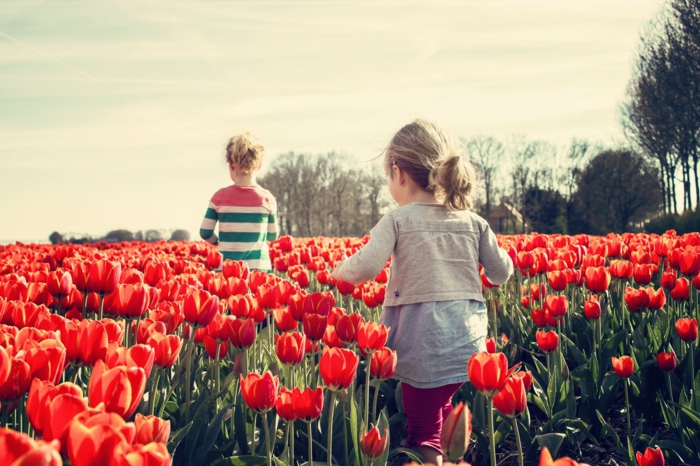dos niños jugadno en un campo con tulipanes en color rojo, imagenes primavera, dos niñas jugando en las flores