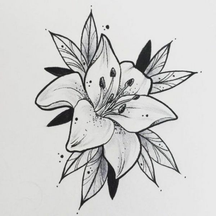 Álbumes 100+ Imagen dibujos de flores a lapiz fáciles El último