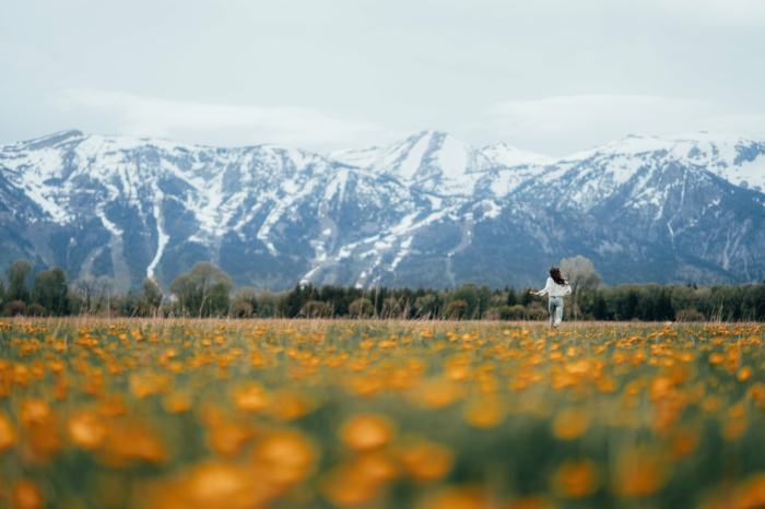 paisajes montañosos que verdaderamente inspiran, los mejores fondos de pantalla en bonitos colores primaverales 