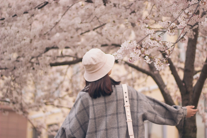 paisajes de primavera inspiradores de japon, paisajes bonitos del mundo, fotos de arboles florecidos en color blanco 