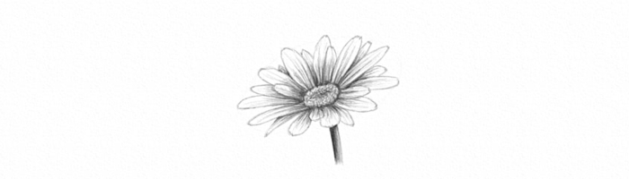 flor girasol bonita super fácil de hacer, dibujos a lapiz faciles, ideas de actividades para niños de primaria originales 