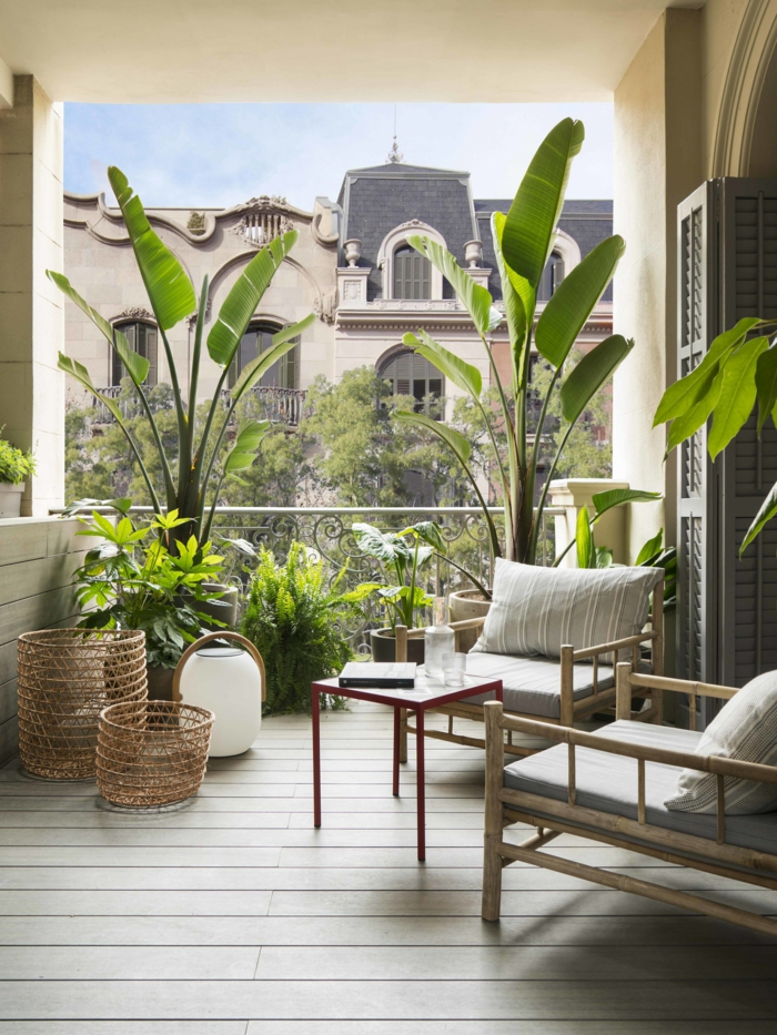 fantasticas ideas sobre como decorarar, terraza chill out con muchas plantas verdes y muebles modernos y funcionales 