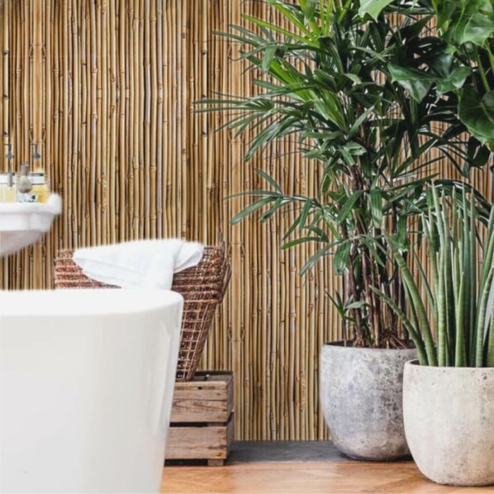 cañas de bambu decoracion, ideas decorativas bonitas para exteriores e interiores con bambuu, cañas bambu decoracion