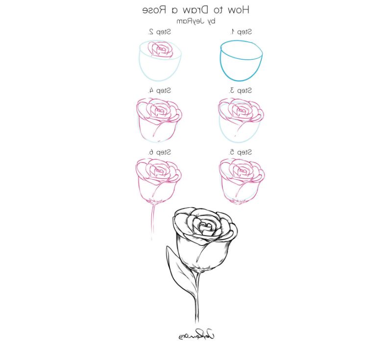 0 pasos para hacer una rosa dibujo ideas originales sobre com dibujar una rosa paso a paso petalos de rosa