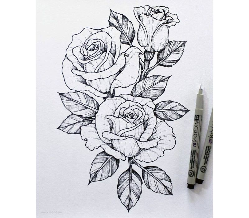 1 a dibujar una rosa a lapiz marcador negro los mejores vdibujos de rosas fotos de dibujos en blanco y negro