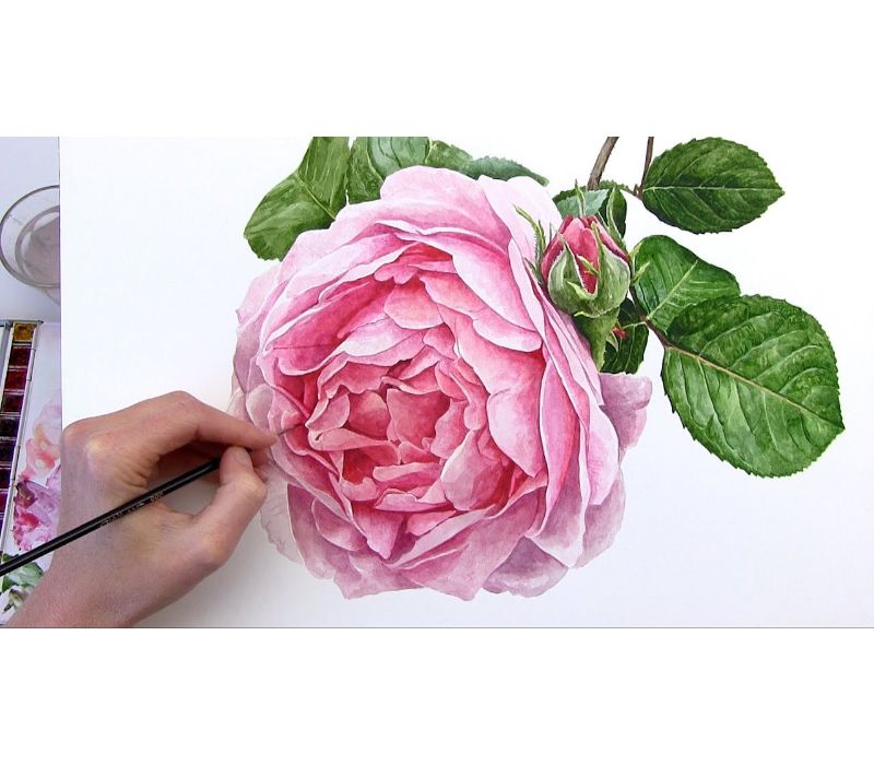 a dibujar una peonia en colores flores bonitas para dibujar etapas para dibujar una rosa paso a paso