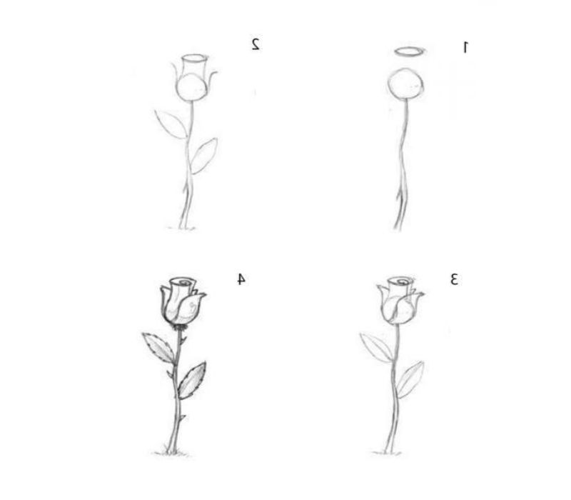 a dibujar una rosa petalos ideas de dibujos faciles de hacer fotos de dibujos chulos ideas de dibujos de flores originales