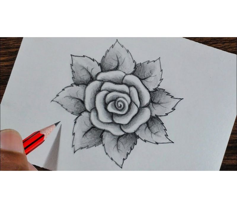 aprender a dibujar flores dibujos de rosas bonitas ideas de dibujos para principiantes y avanzados