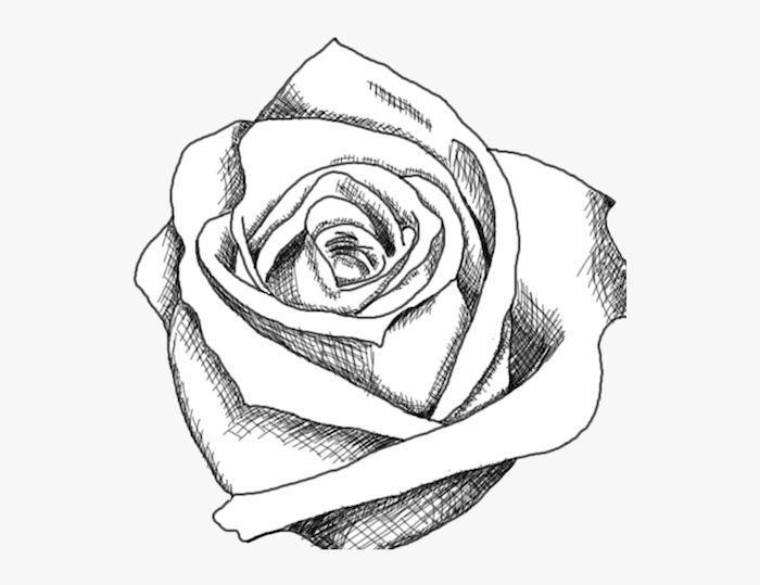blanco y negro dibujo rosa ideas de dibujos faciles y bonitos de rosas para redibujar como dibujar una rosa