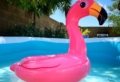 ¿Cómo elegir una piscina?