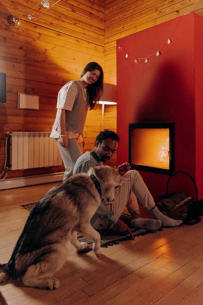 acogedora casa de leña con chimenea perro y pareja