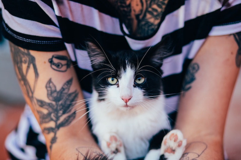 gato blanco y negro mujer con tatuajes