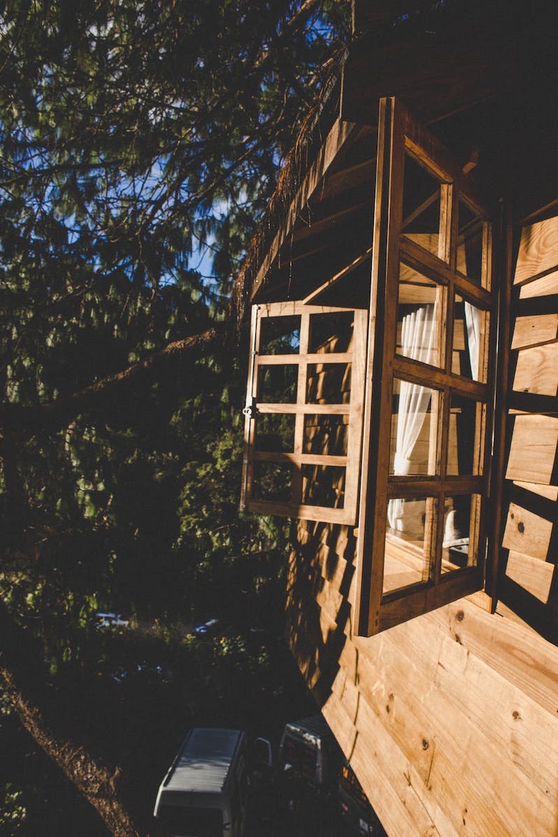 villa de madera en el bosque con ventanas abiertas