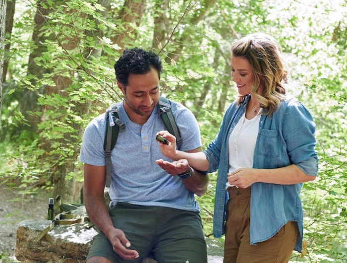 ¿Qué hacer contra los mosquitos en casa?