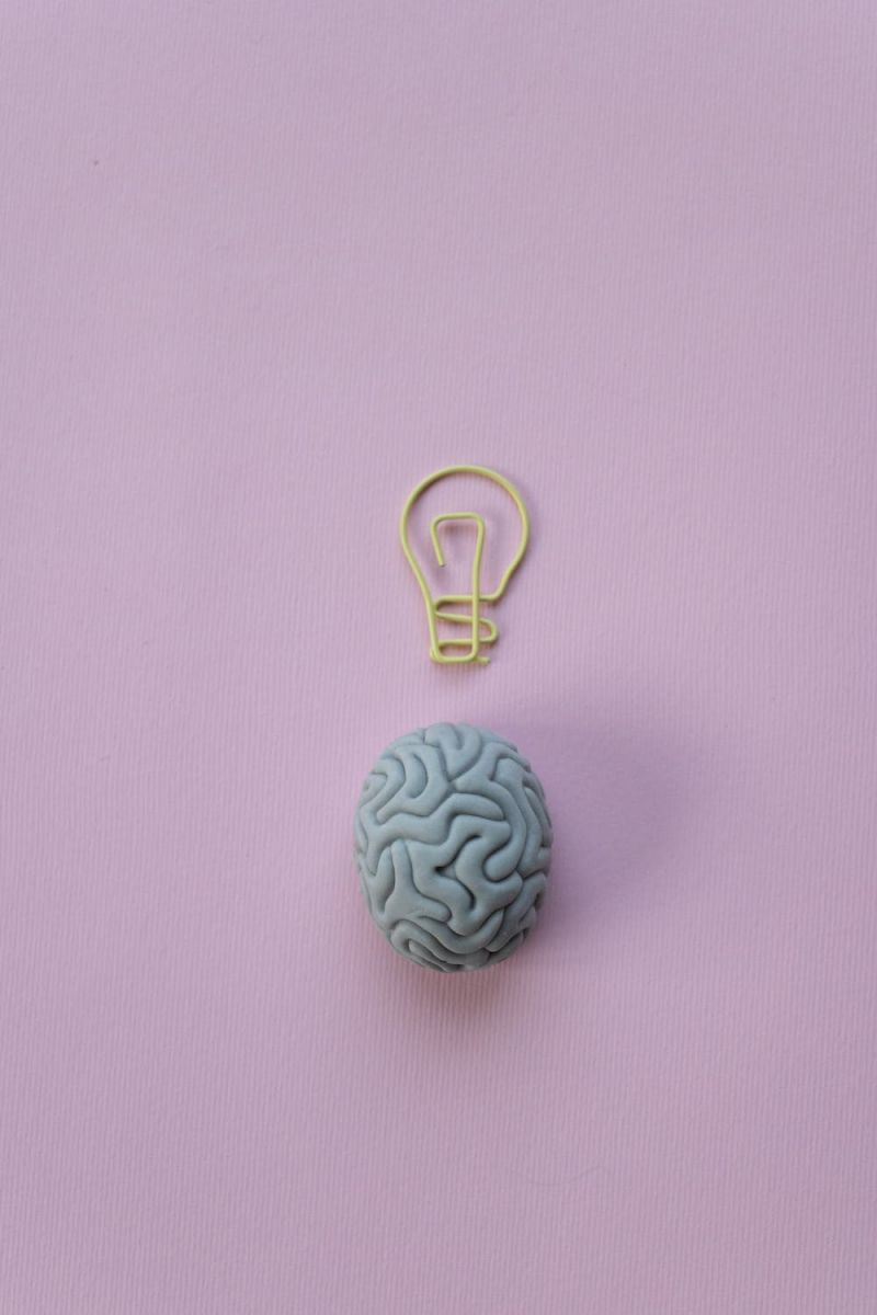 imagen de un cerebro sobre un fondo rosa con una lámpara