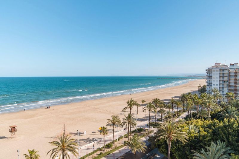 la franja costera de valencia con palmeras y arena