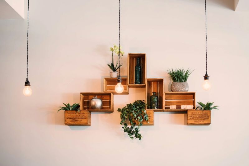 cubos de pared de madera con plantas verdes