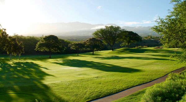 campo de golf con césped verde